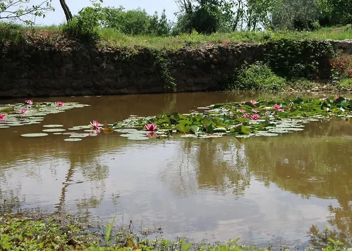 Apartament Teo-2 By Interhome Labin (Istria)